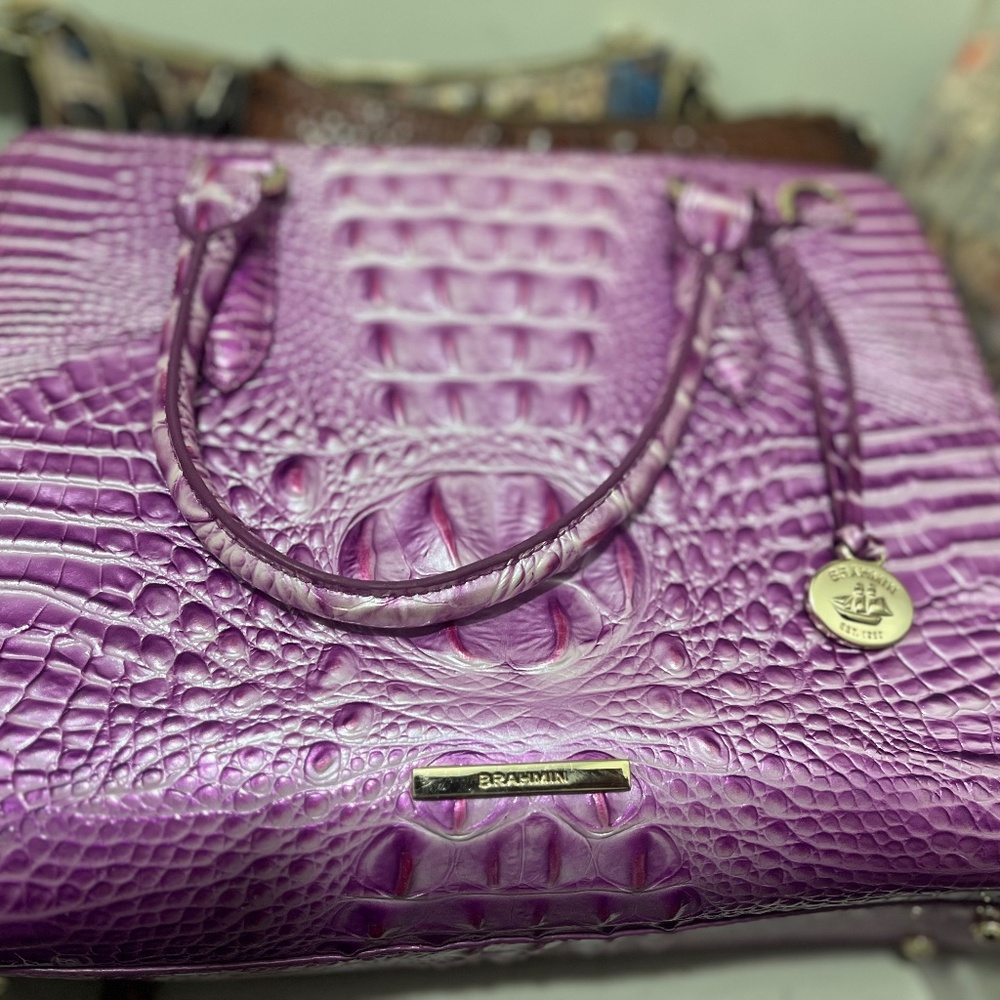 Purple Brahmin